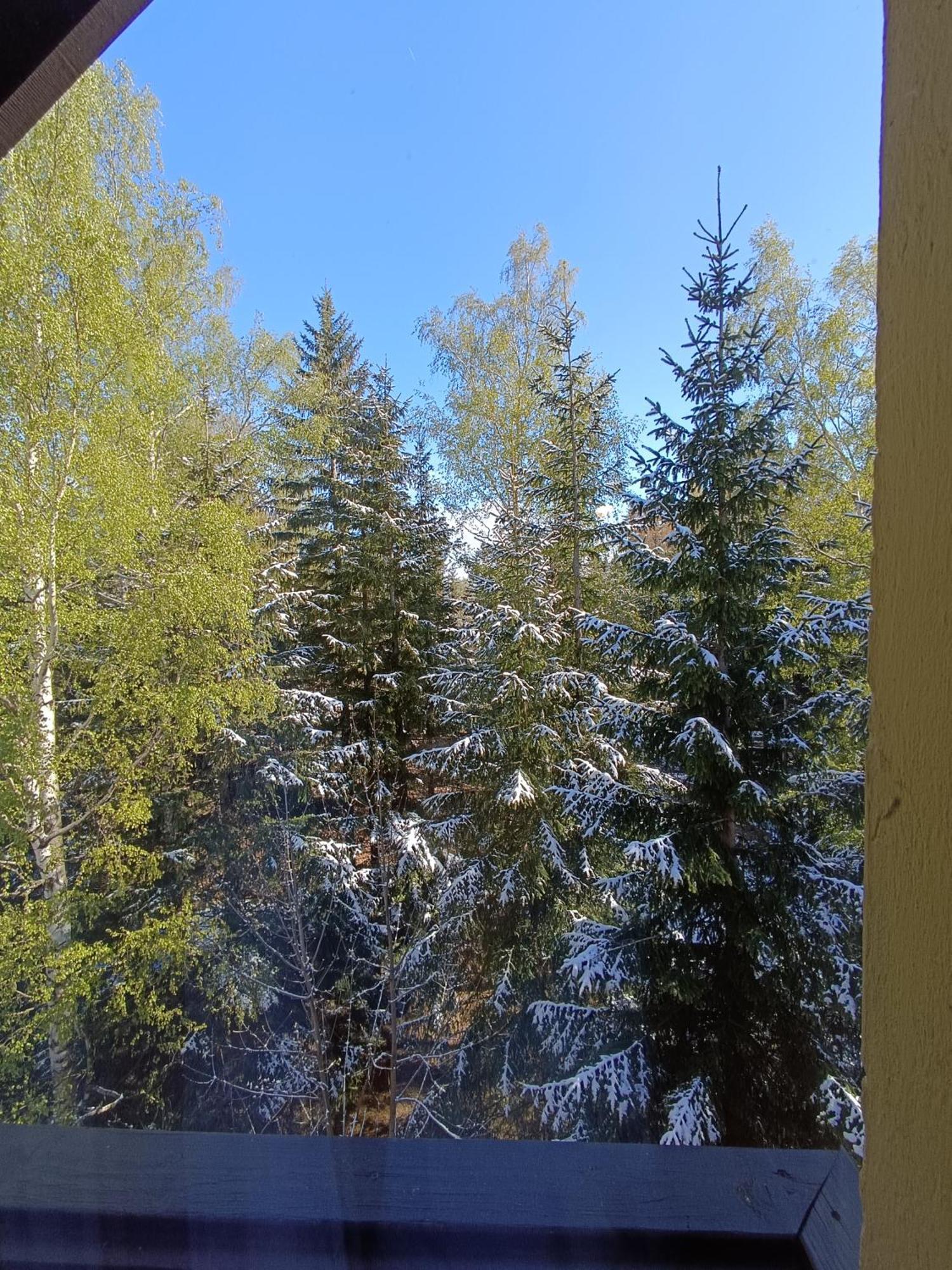 Willa Alaska Karpacz Exteriör bild